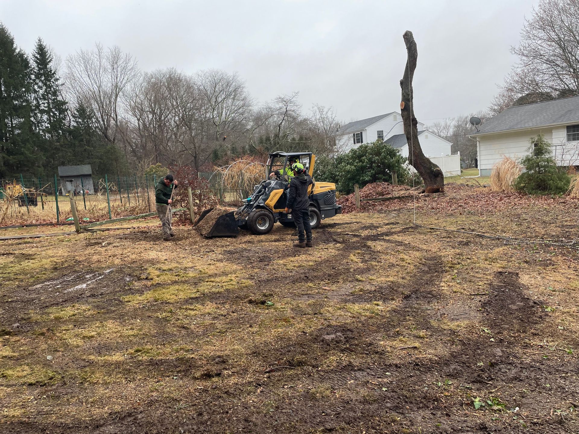 Person operating a yellow tractor in a muddy yard with a large uprooted tree and bare winter trees.