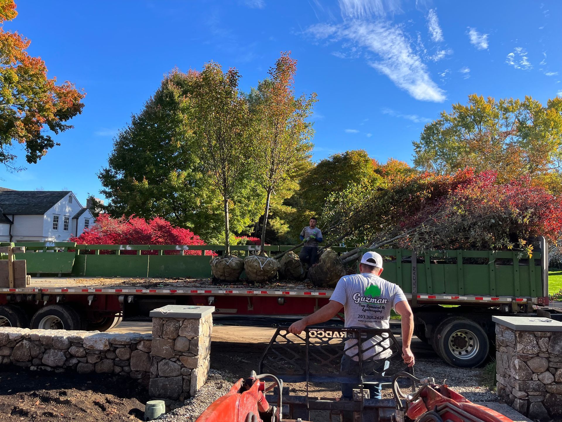 Worker loading a trailer with potted trees and shrubs in a sunny outdoor nursery yard.