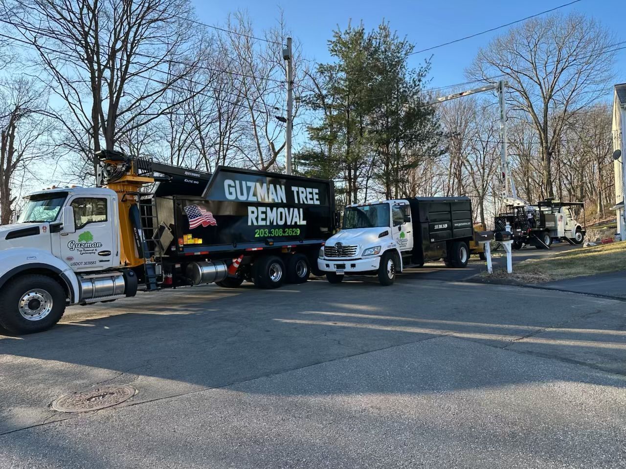 White tree removal truck with “Guzman Tree Removal” parked on a street beside bare trees and utility poles