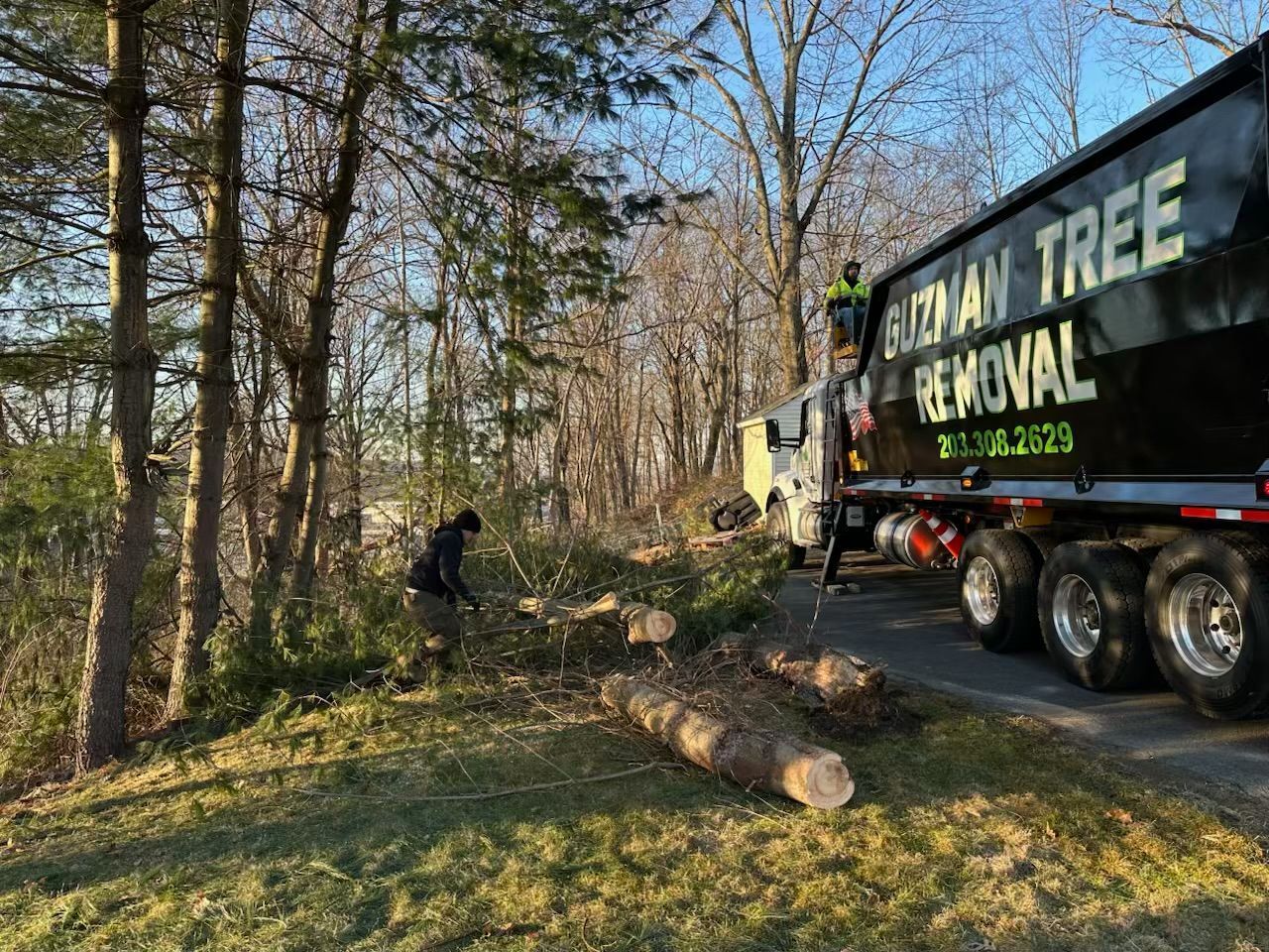 Tree removal crew clears fallen trees beside a road in a wooded area, with a truck and chainsaw work visible.