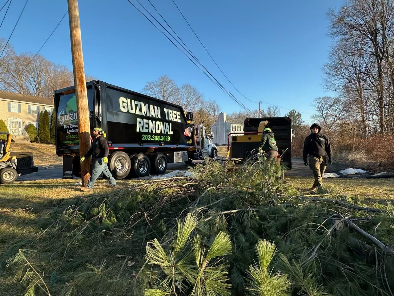 Tree-removal truck and workers clearing fallen branches beside a road under a clear blue sky