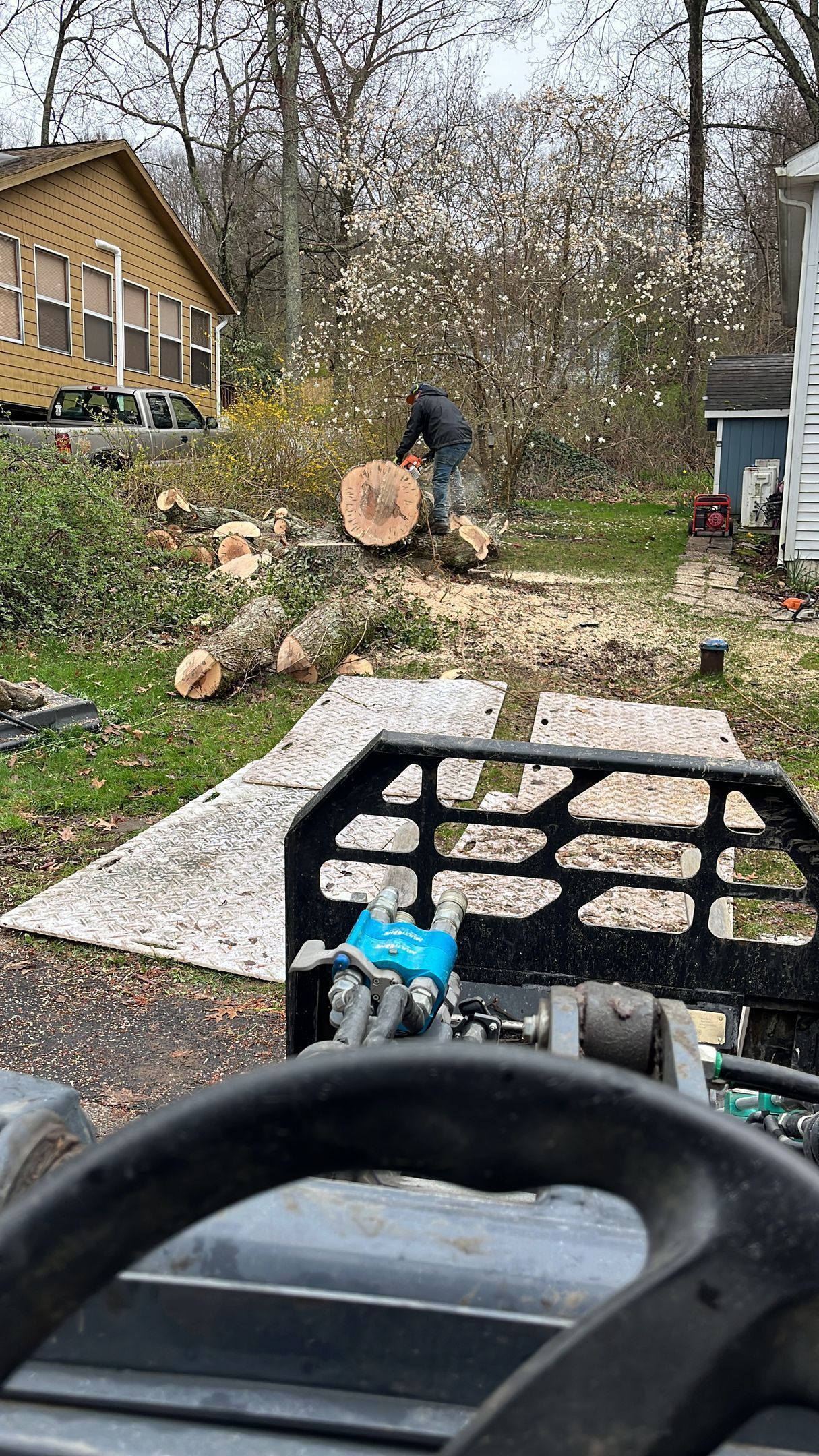 Yard with fallen tree trunk being cut into rounds near a house, viewed from a vehicle or machine.
