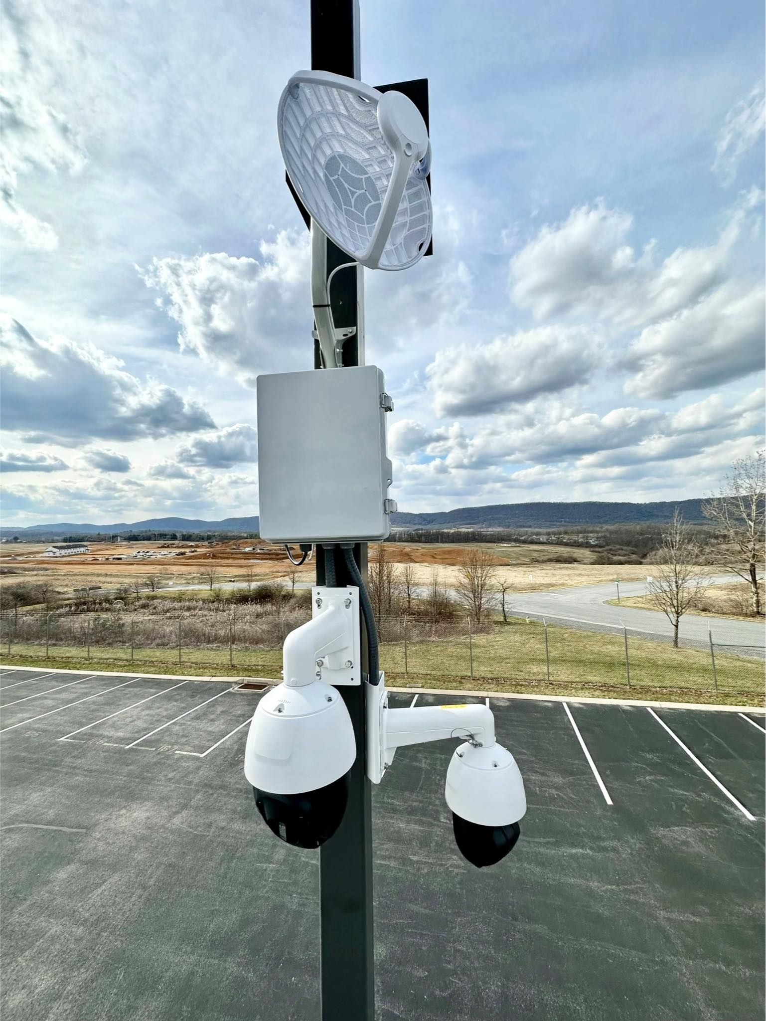 Security and network services