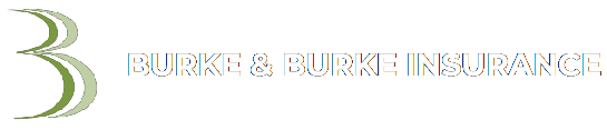 Burke & Burke Insurance Marketing - logo