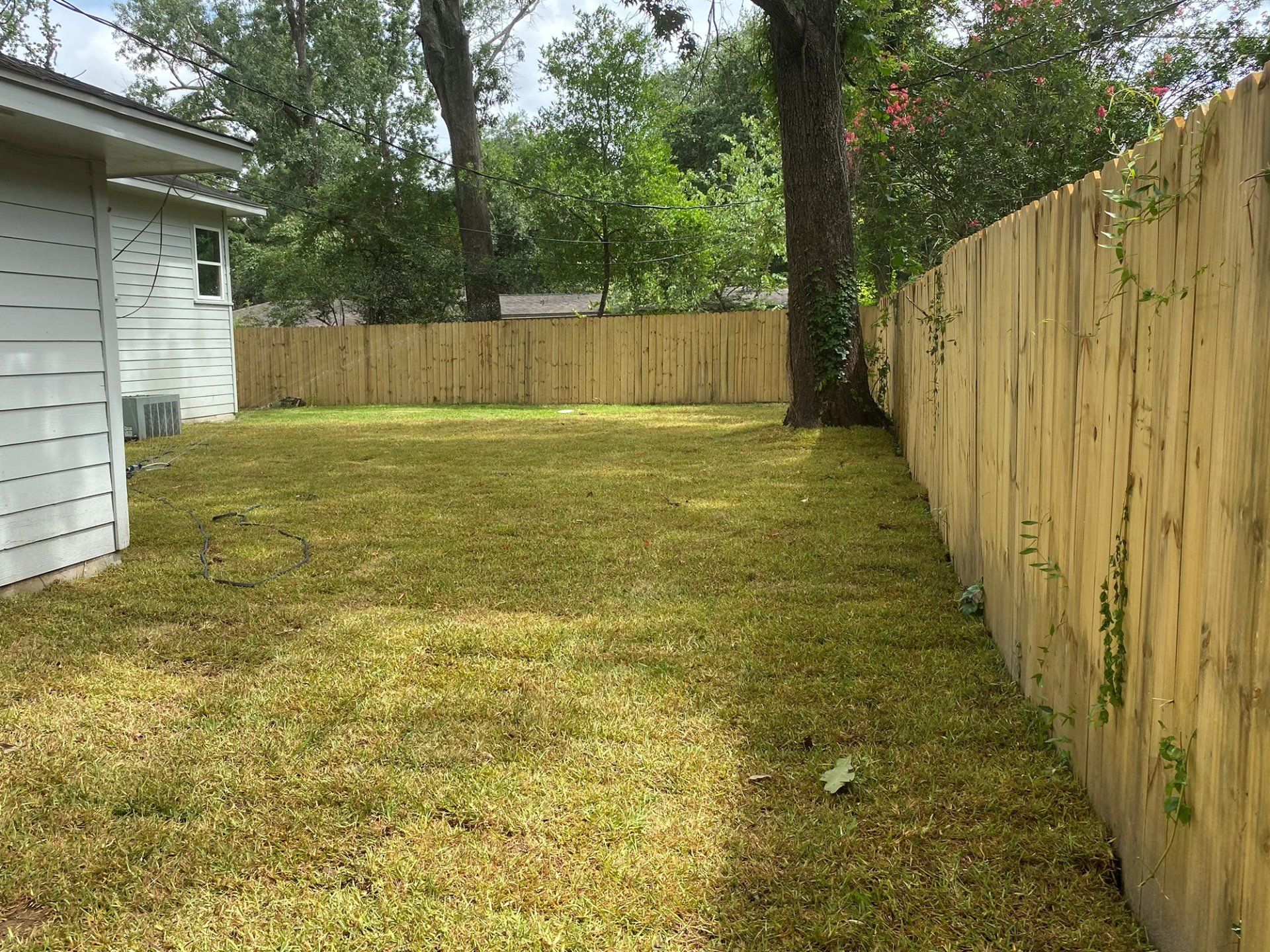 Landscape design renovation