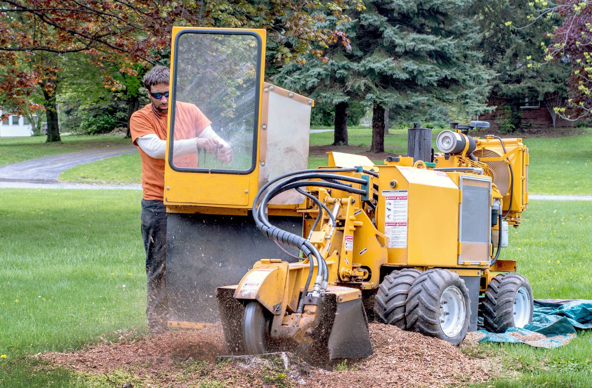 Arbor Tech By TRO | Tree Services | Azle, TX