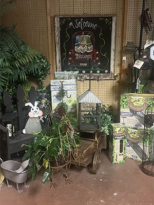 A room filled with lots of plants and decorations