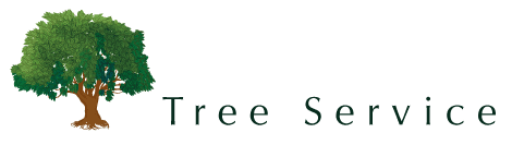Arboreal Experts | Ballston Lake, NY | Ward Brothers Tree Service | 518-365-9187