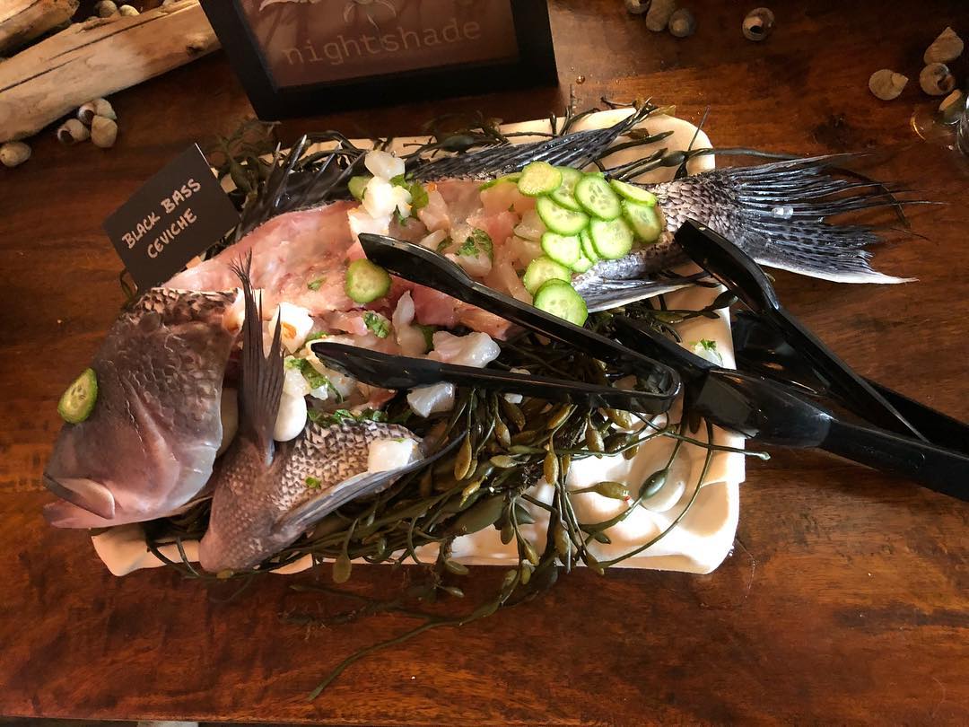 Black bass ceviche