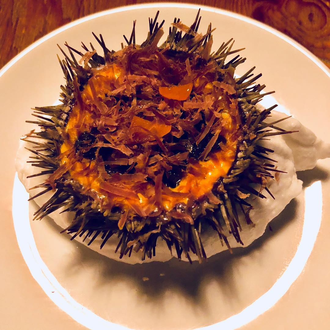 Sea urchin