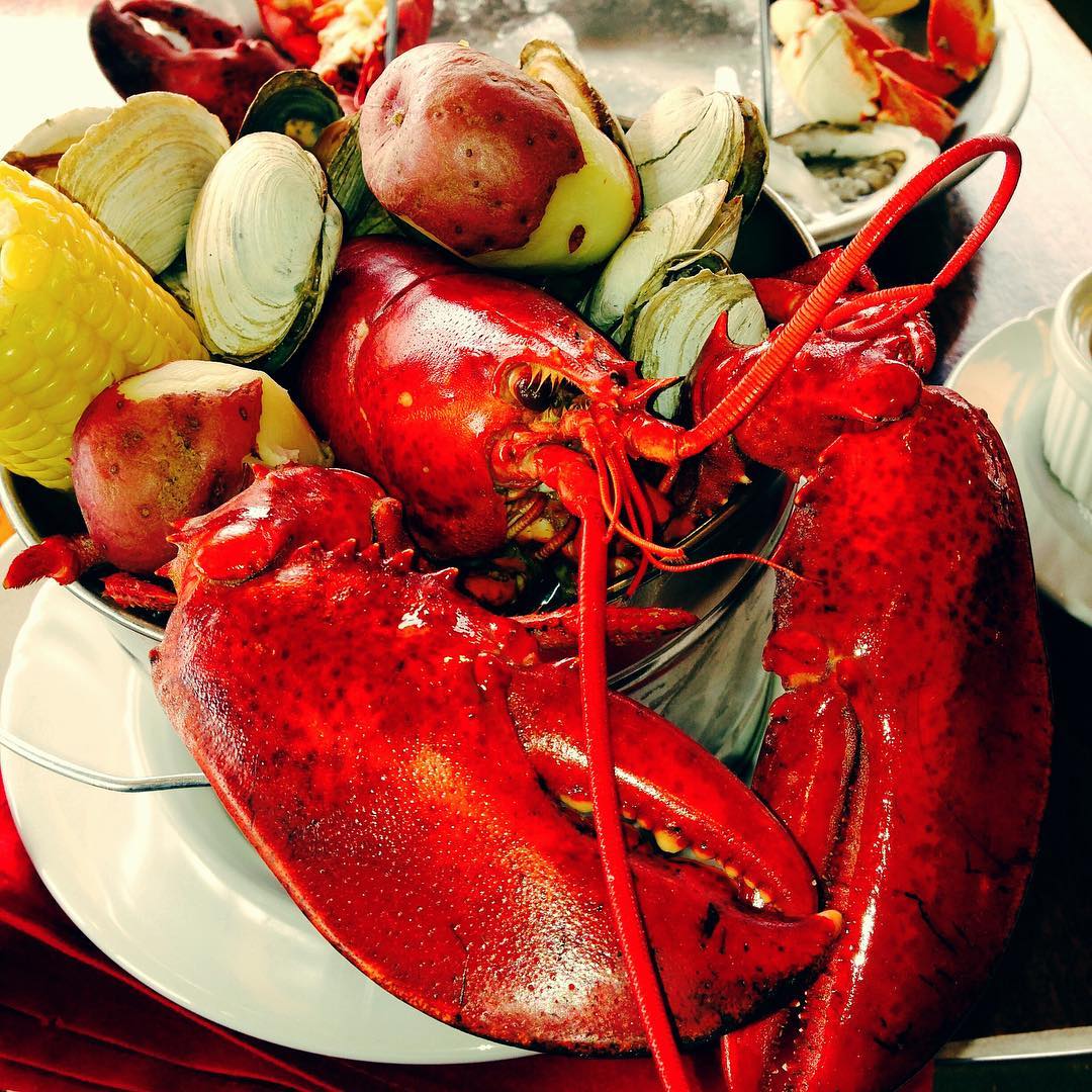 Lobster