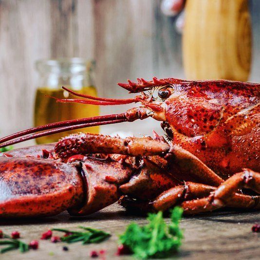 Lobster