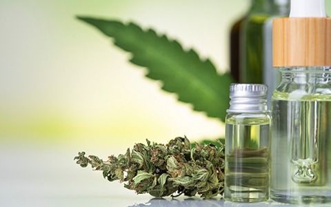 CBD oil bottles, dried cannabis bud, marijuana leaf, blurred green background.
