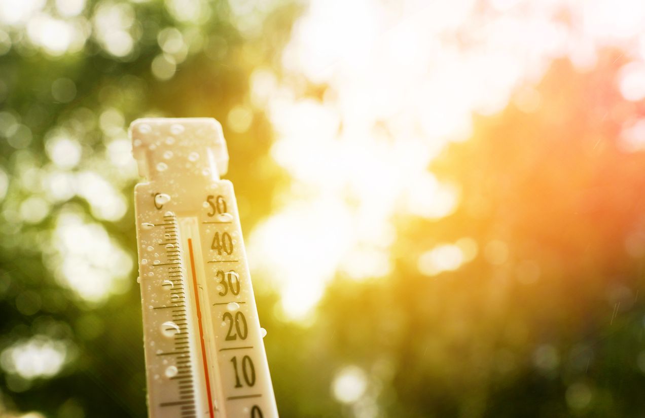 Thermometer in sunlight, showing a high temperature reading.