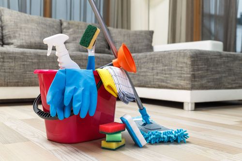 Cleaning supplies in a red bucket: spray bottle, gloves, sponges, mop, and plunger on a wood floor near a sofa.
