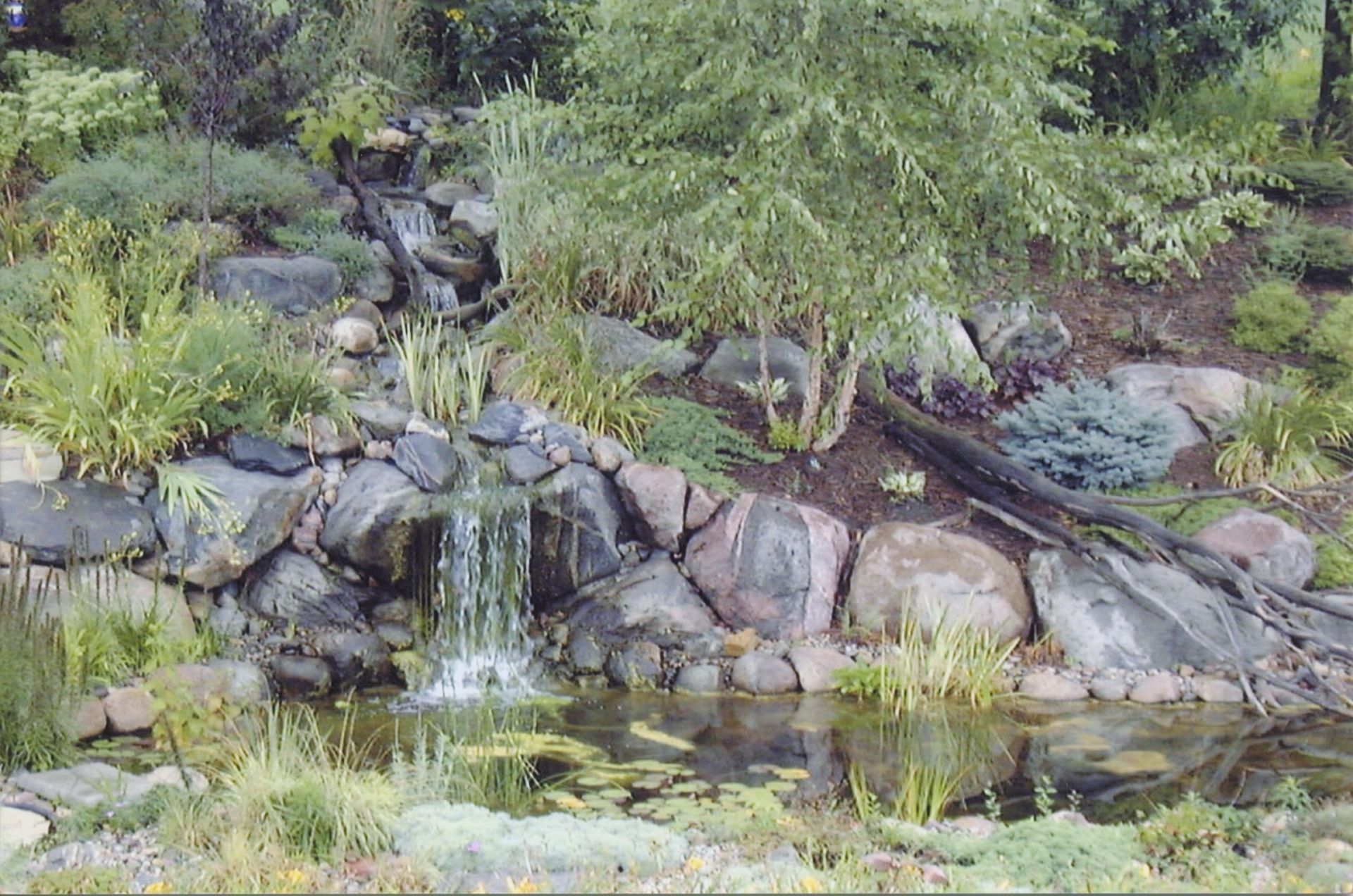 Waterfall cascading over rocks into a pond, surrounded by lush greenery and plants.