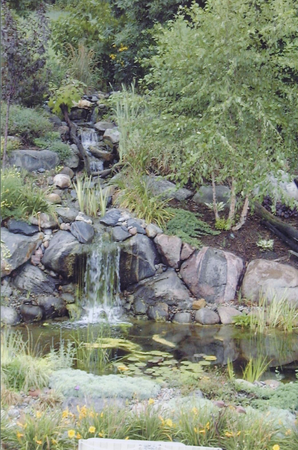 Waterfall cascading into a pond, surrounded by rocks, lush greenery, and trees.