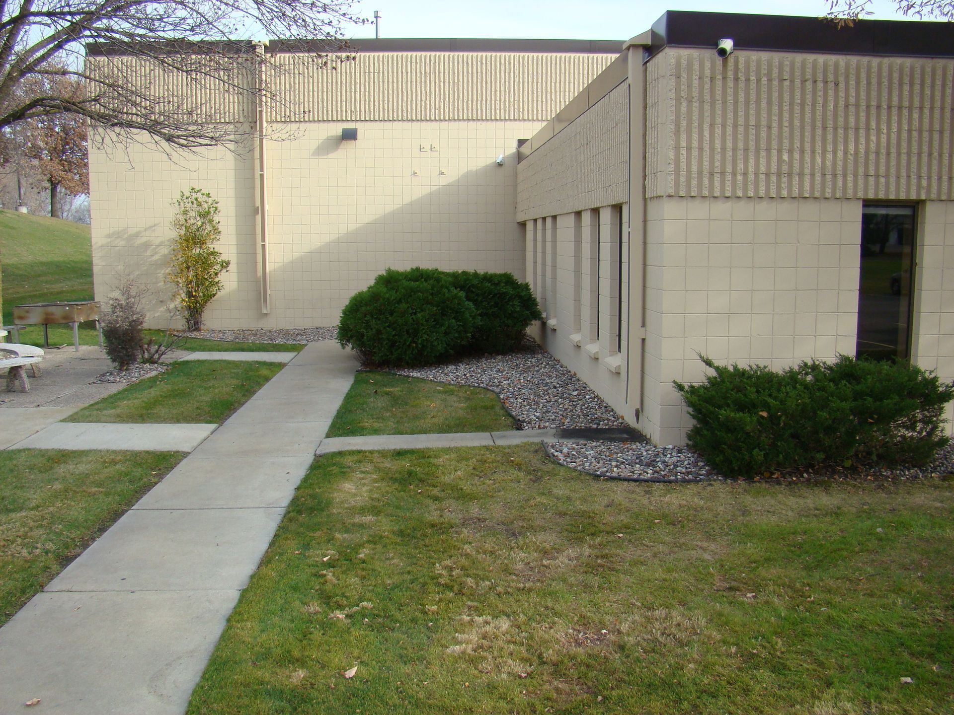 Sidewalk leading to building with windows and bushes, light-colored walls and green lawn.