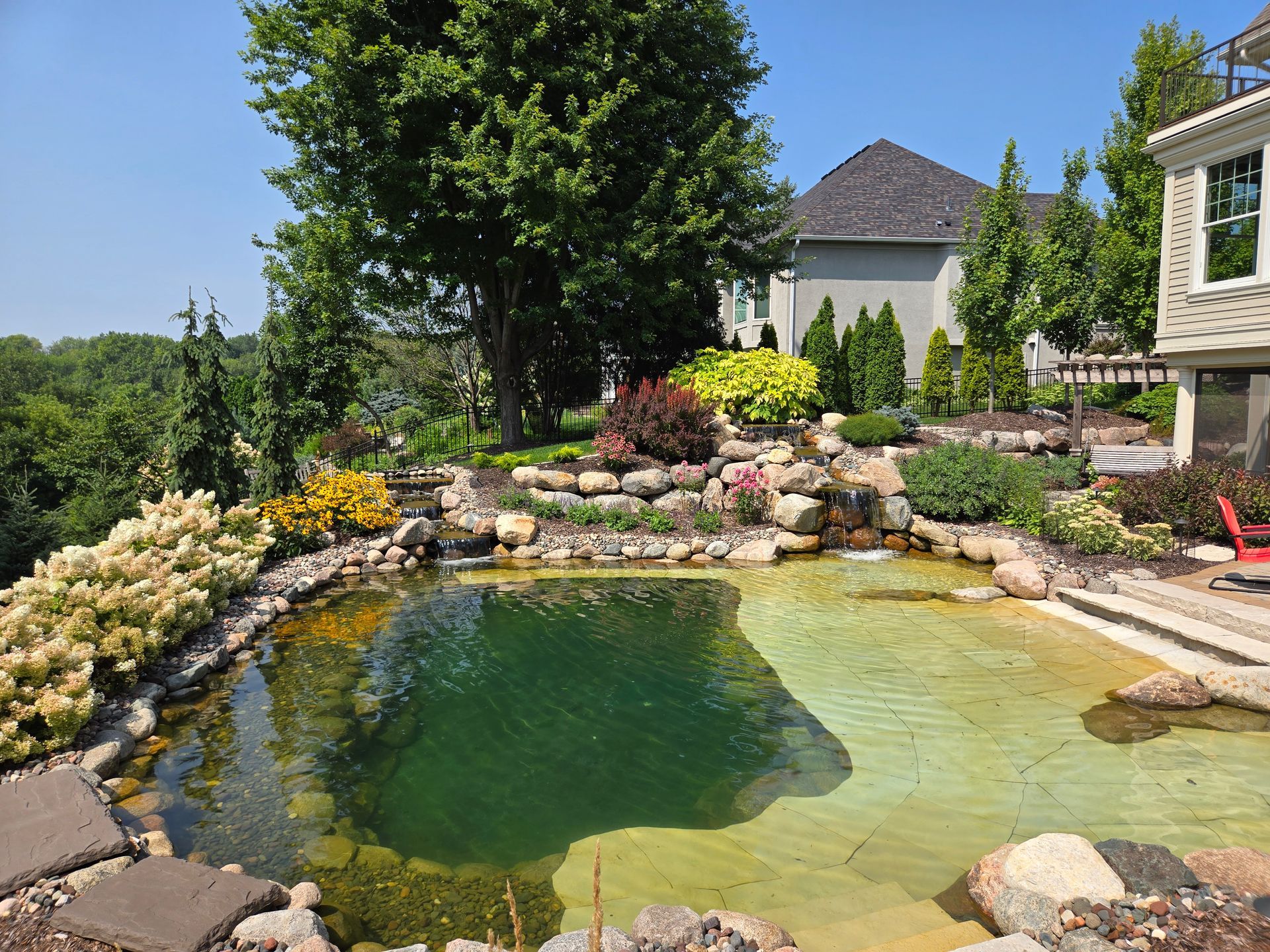Pond with rocky edges, surrounded by greenery and flowers, next to a house under a blue sky.