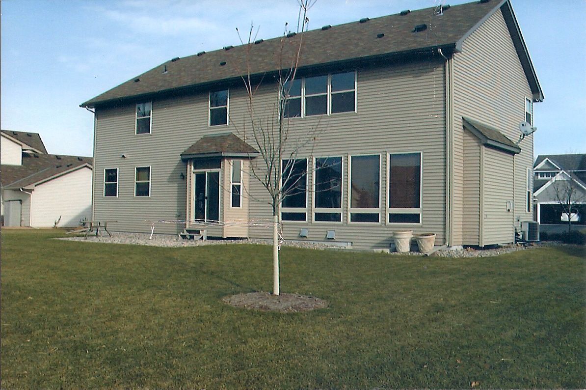 Back of a two-story beige house with multiple windows and a small tree in the yard.