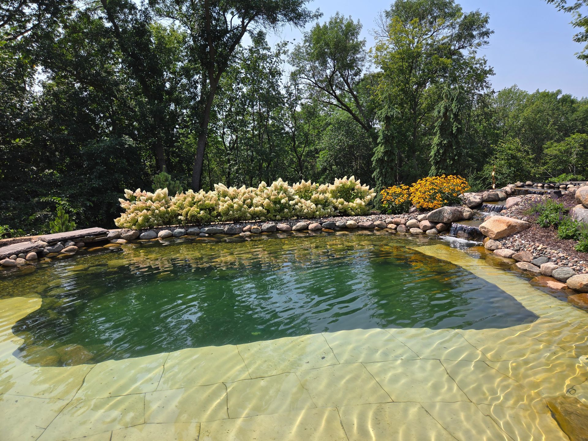 A natural swimming pool with clear shallow water, bordered by rocks and plants, with trees in the background.