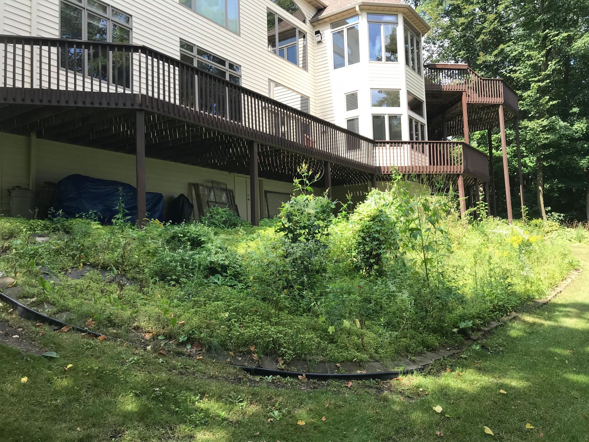 Overgrown garden beneath a two-story house with brown decks. Lush green vegetation and a grassy lawn.