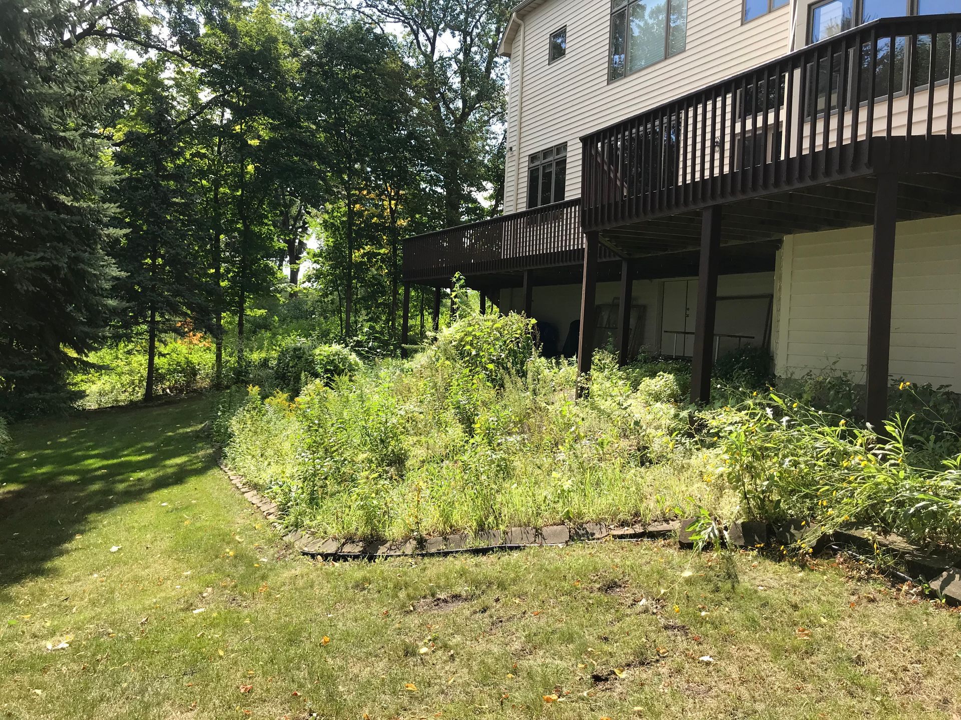 Backyard with overgrown garden bed, deck on house, and trees.