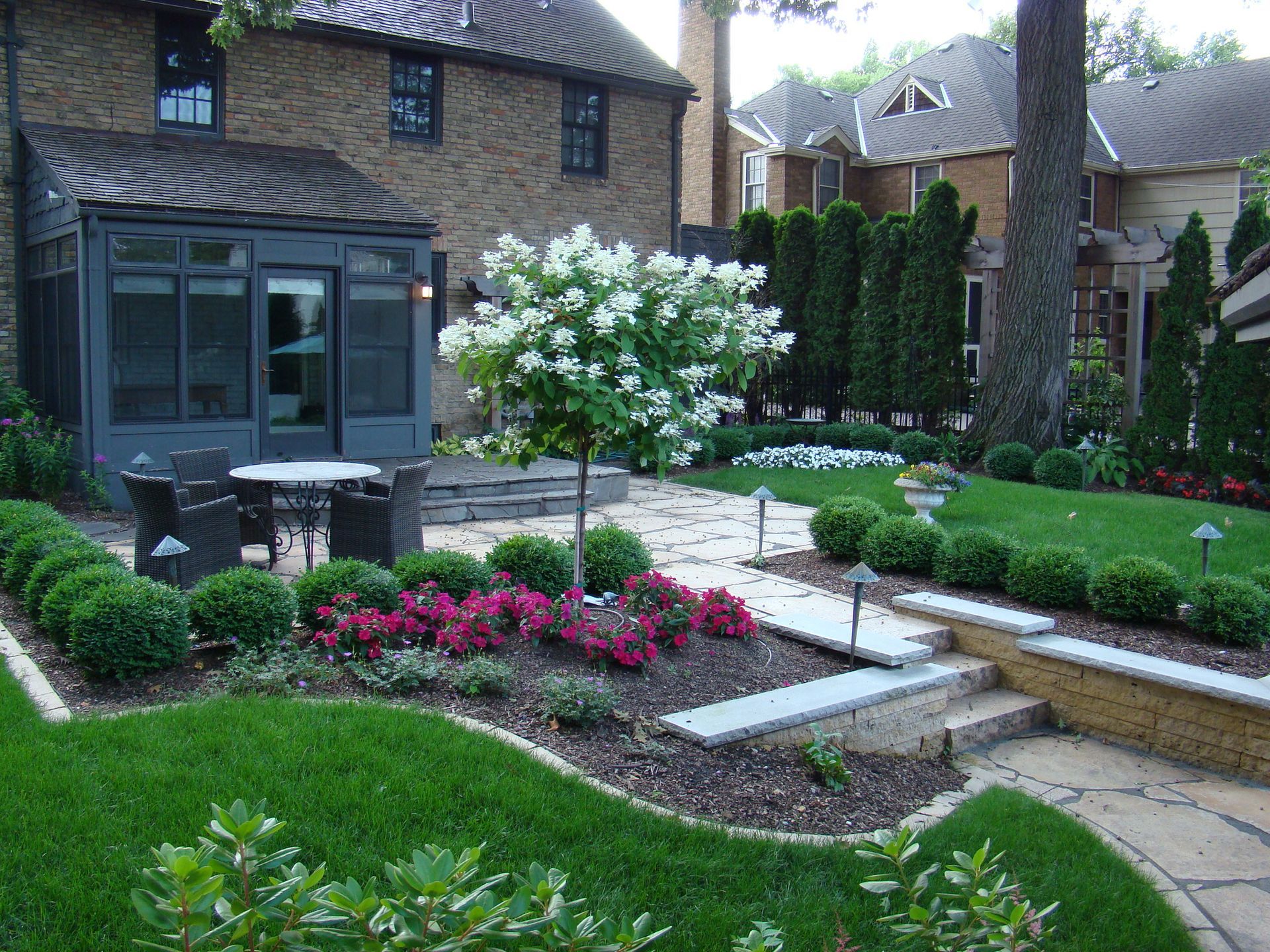 Backyard with patio, lawn, tiered landscaping, and a tree with white flowers.