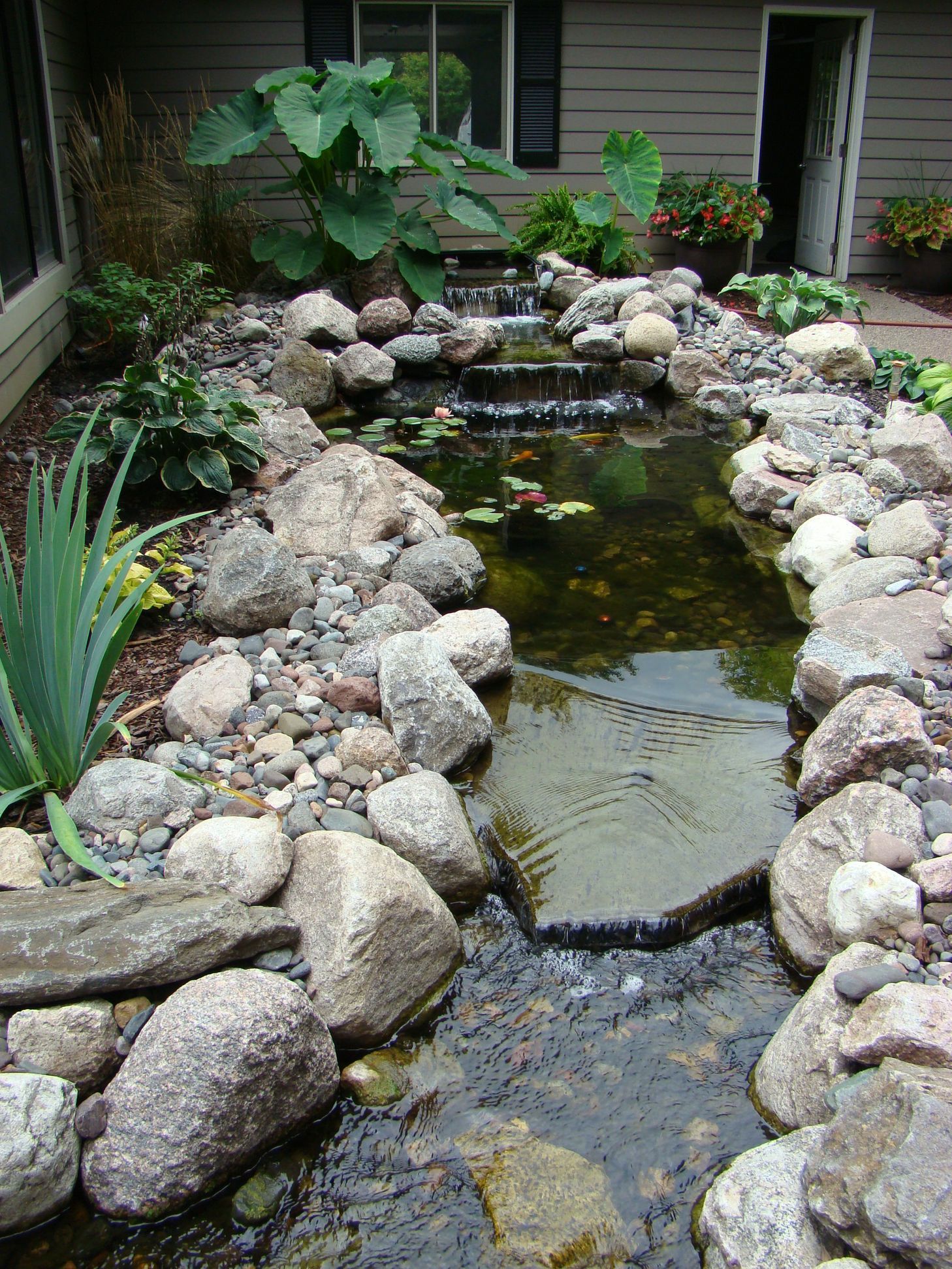 A backyard pond with waterfall, surrounded by rocks and lush greenery.