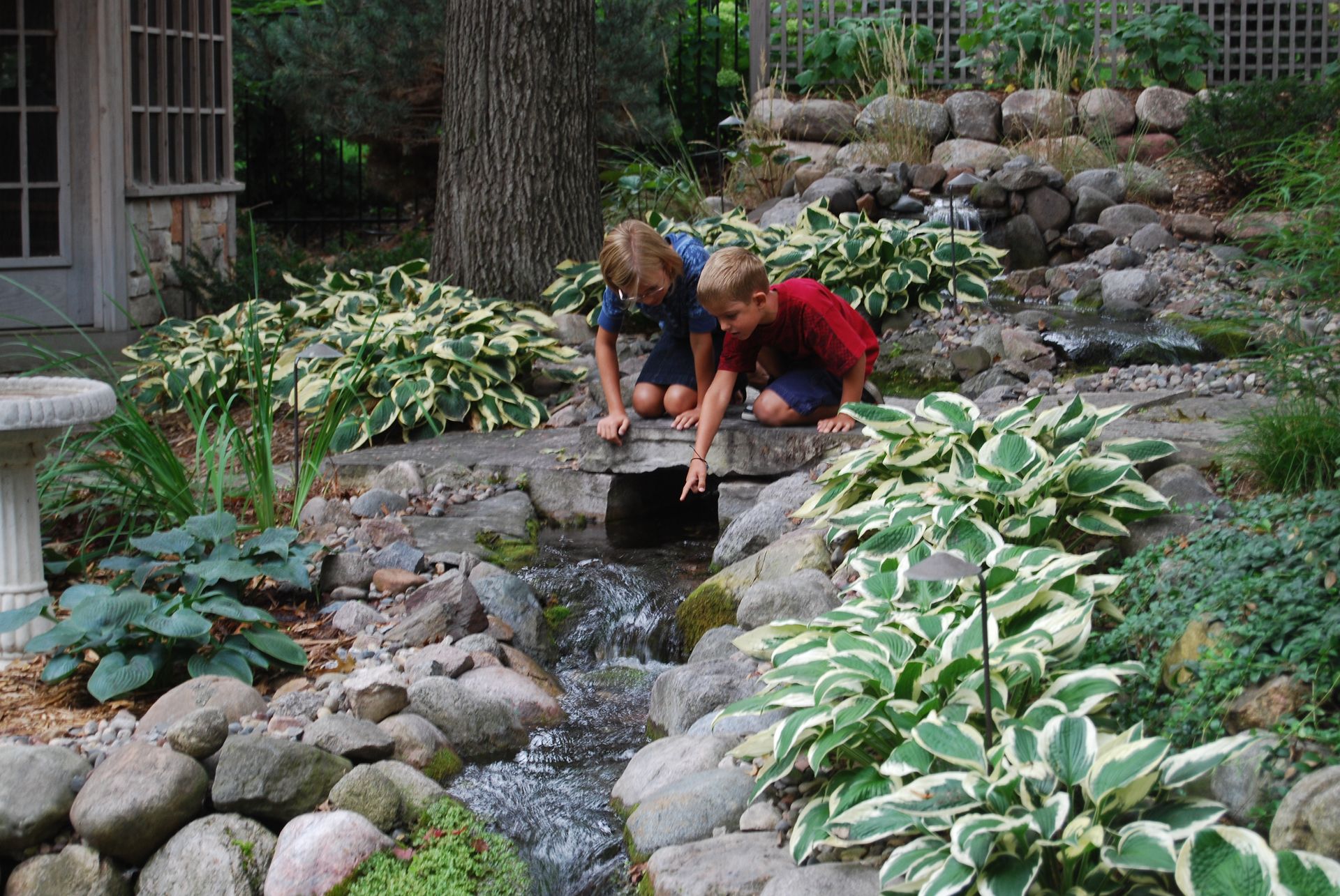 Two children reach into a creek, surrounded by rocks and plants in a backyard setting.