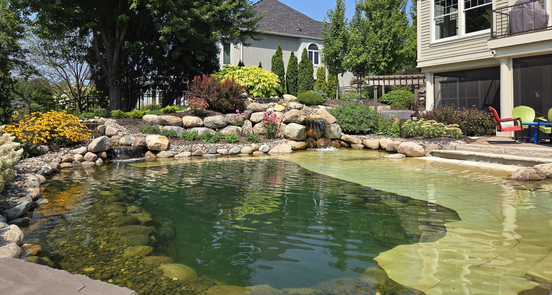 Pond with waterfall, rocks, and various plants in front of a house. Water has green algae.
