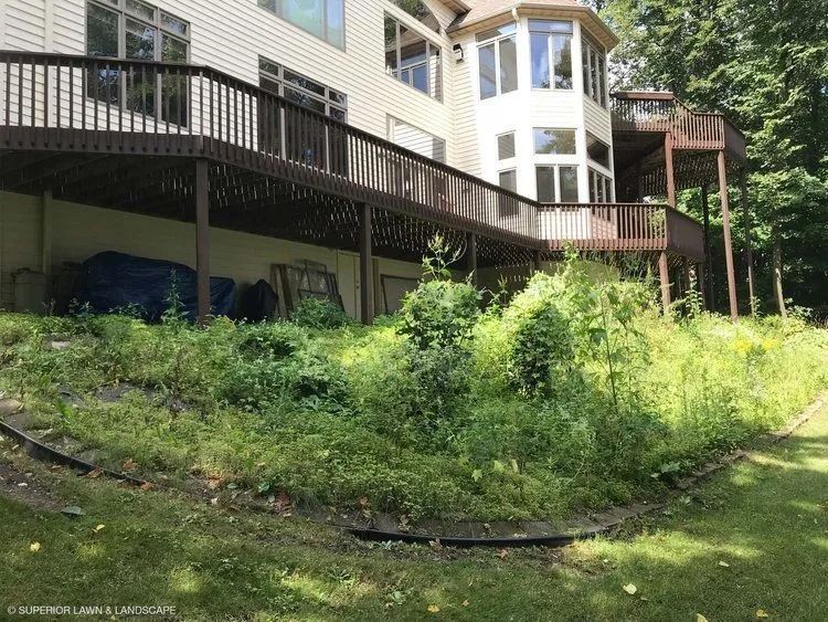 Backyard deck with overgrown vegetation on a hillside. Brown deck, green grass, and wild plants.