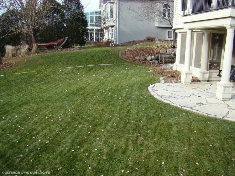 Green lawn with houses, a stone patio, and a hammock.