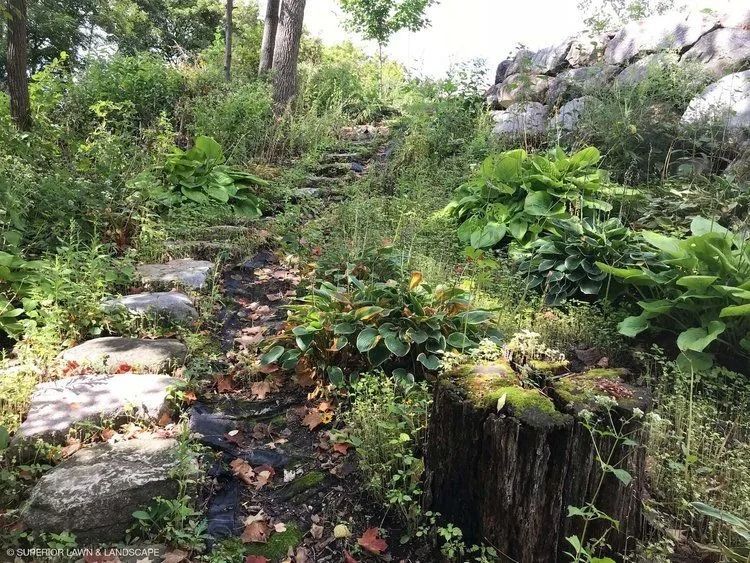 Stone steps ascending a wooded hillside. Lush greenery, a tree stump, and a stone wall are also visible.