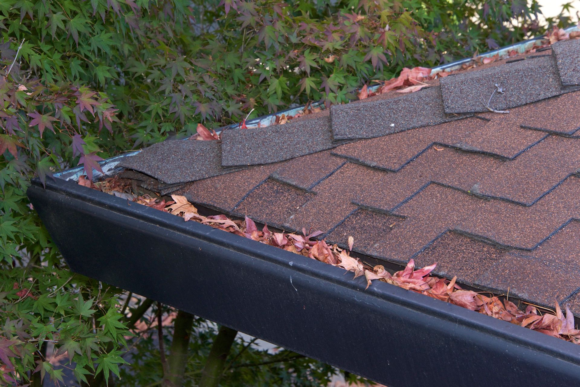 gutter guards