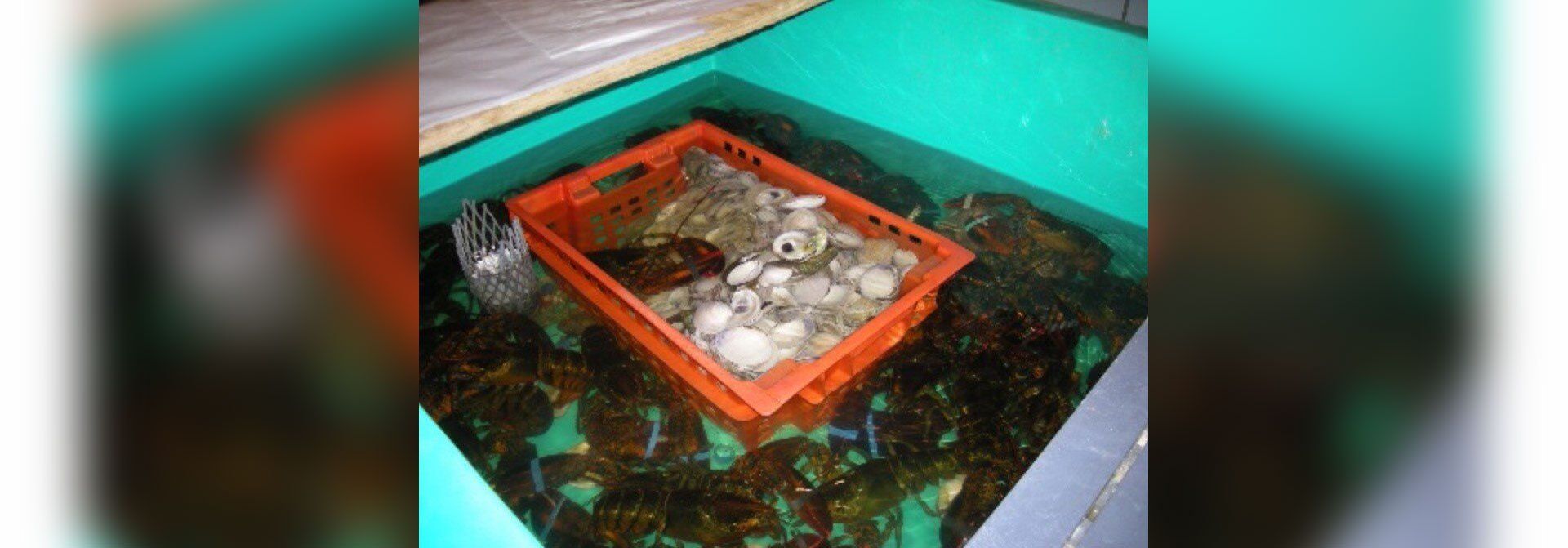 retail-seafood-fresh-seafood-for-sale-brockton-ma
