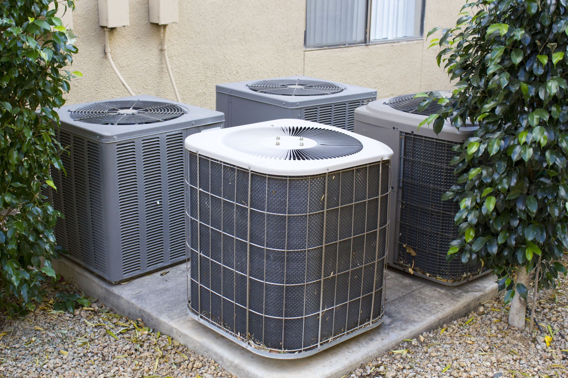 Four outdoor air conditioning units on concrete pads, near bushes and a wall.