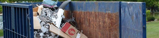 Dumpster Clean-Outs