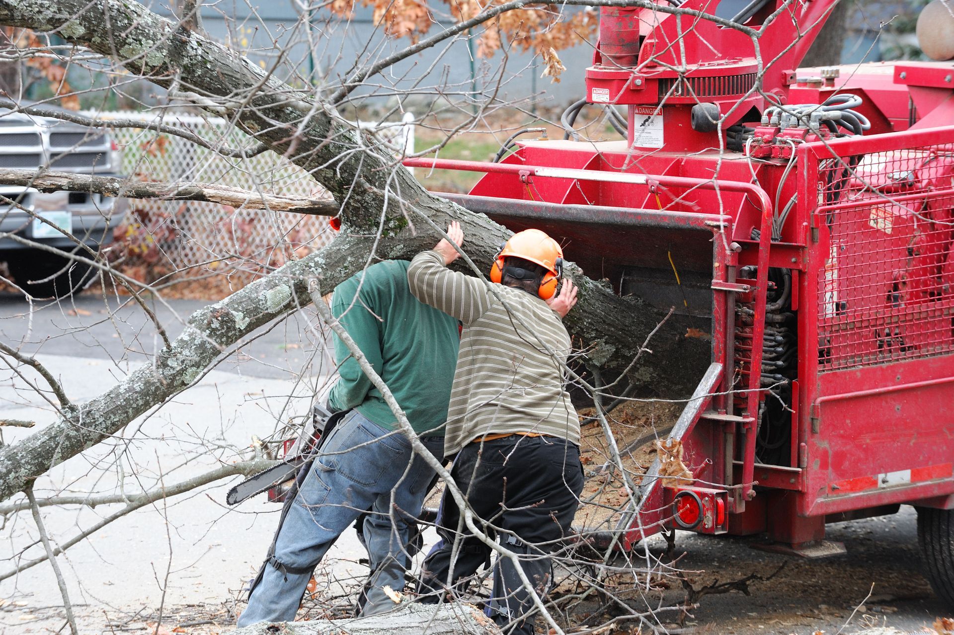 Van Tubbs Tree Service