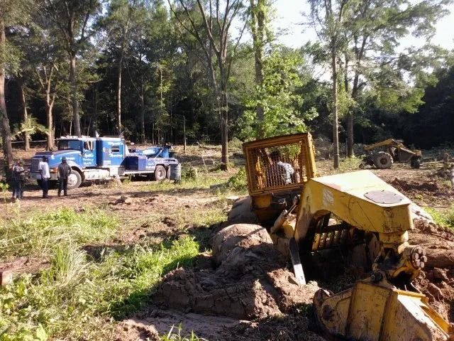 Yellow excavator and blue truck on a muddy forest worksite.