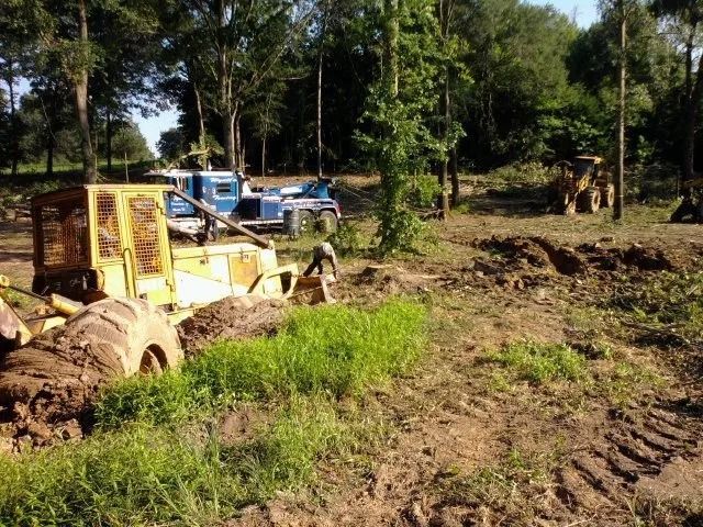 Yellow bulldozer clearing dirt in a wooded area with blue trucks in the background