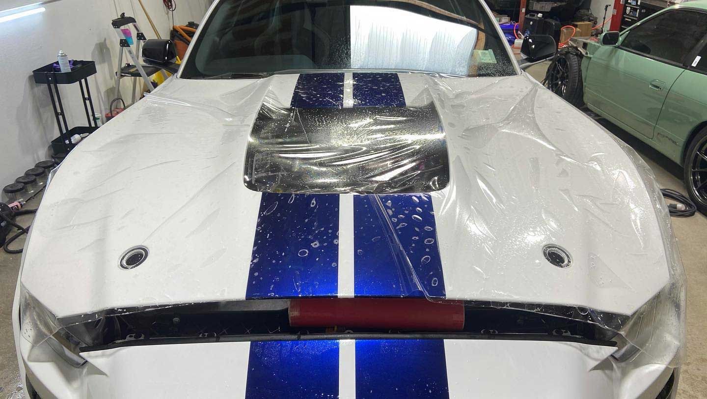 White Mustang with blue racing stripes, covered in protective film.