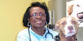 Dog patient