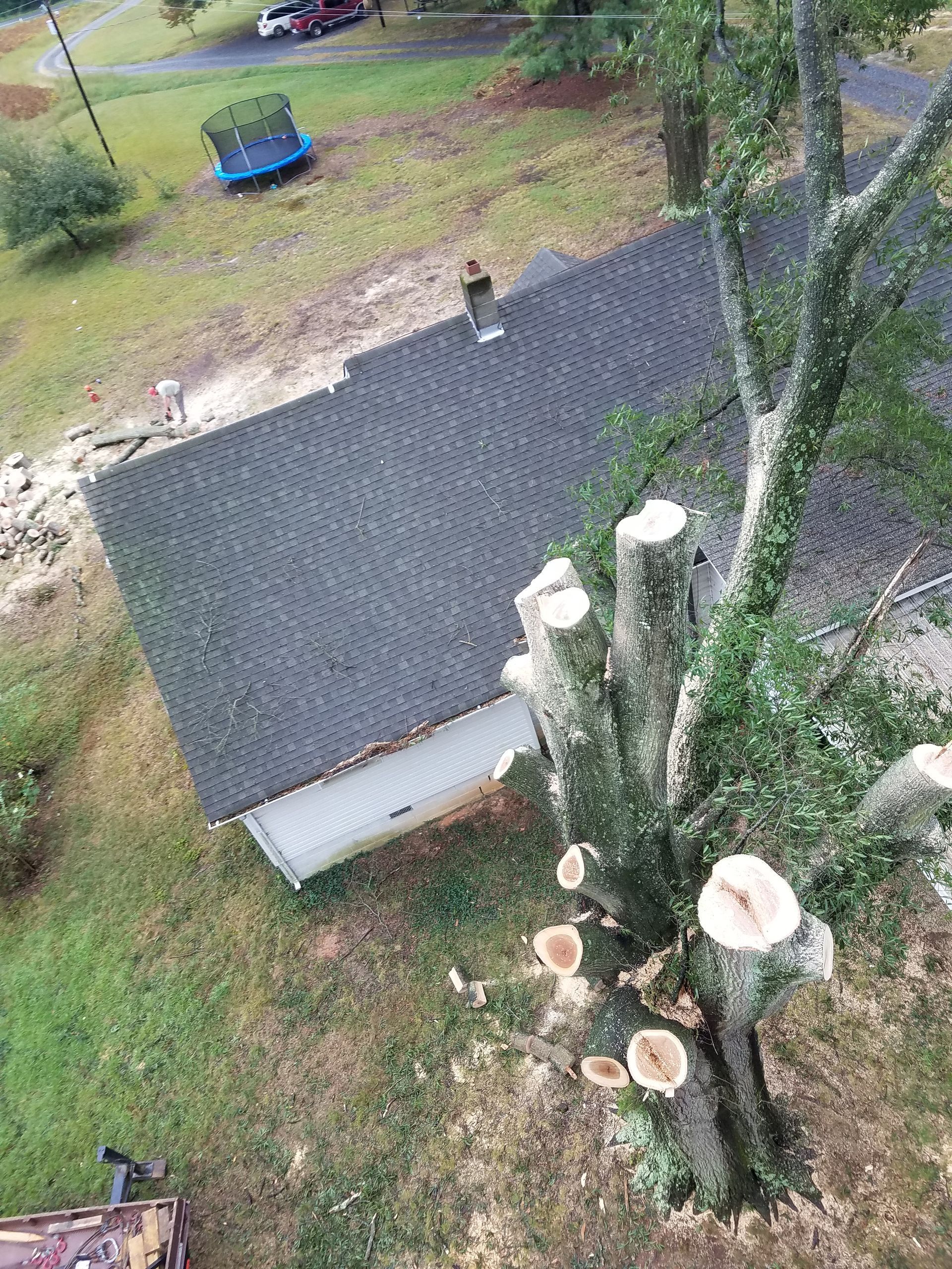 An aerial view of a tree being cut down in front of a house.