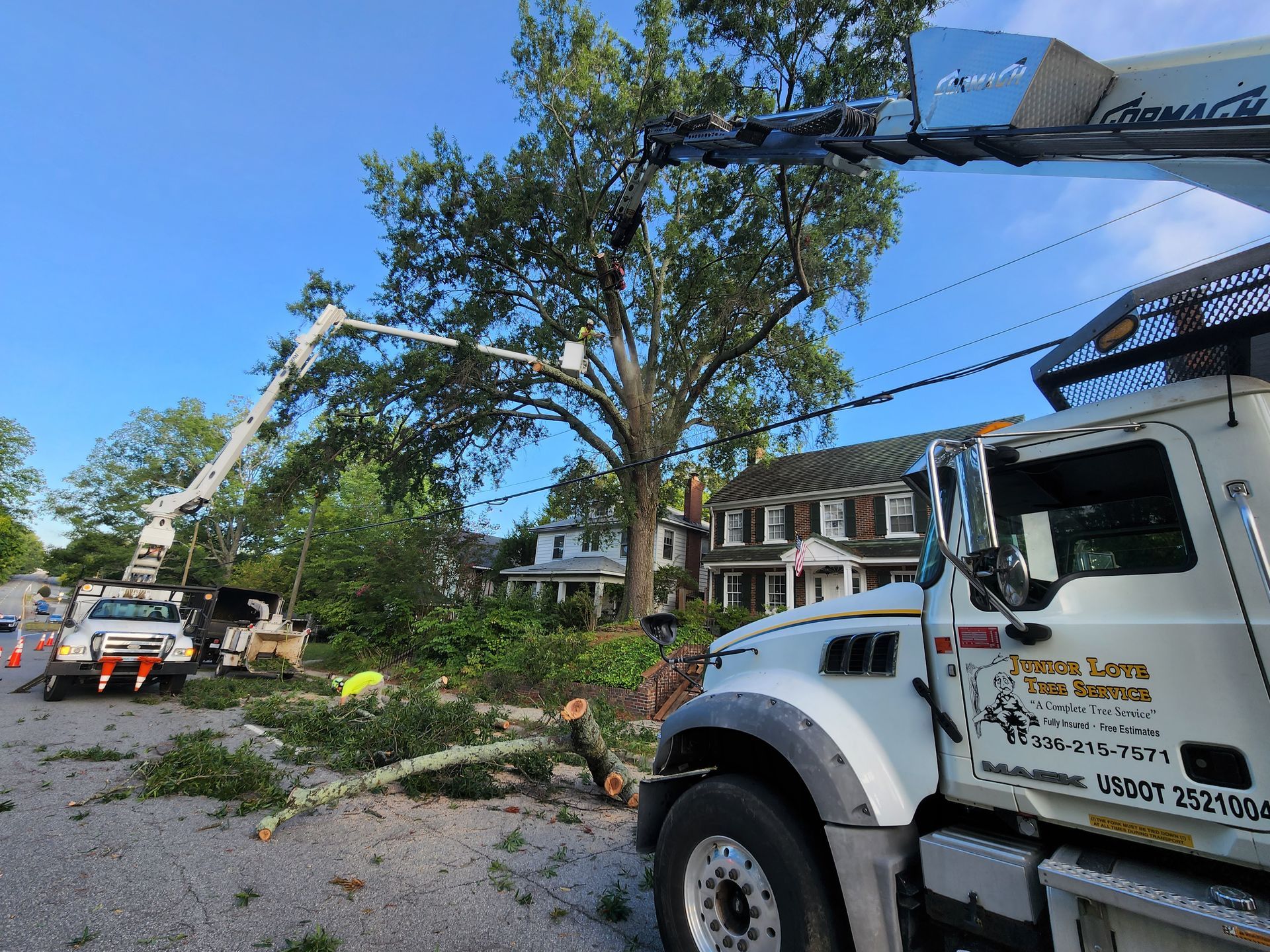 A truck with a crane attached to it is cutting down a tree.