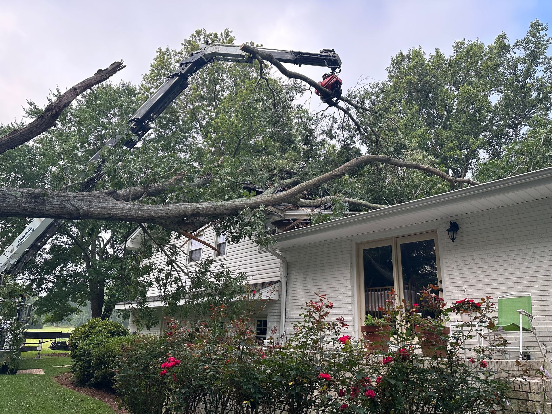 A tree is being removed from the roof of a house.