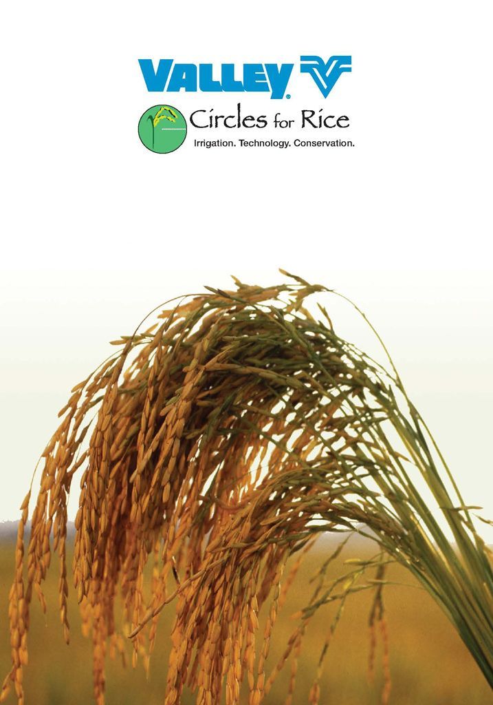 Rice Myths & Project Booklet