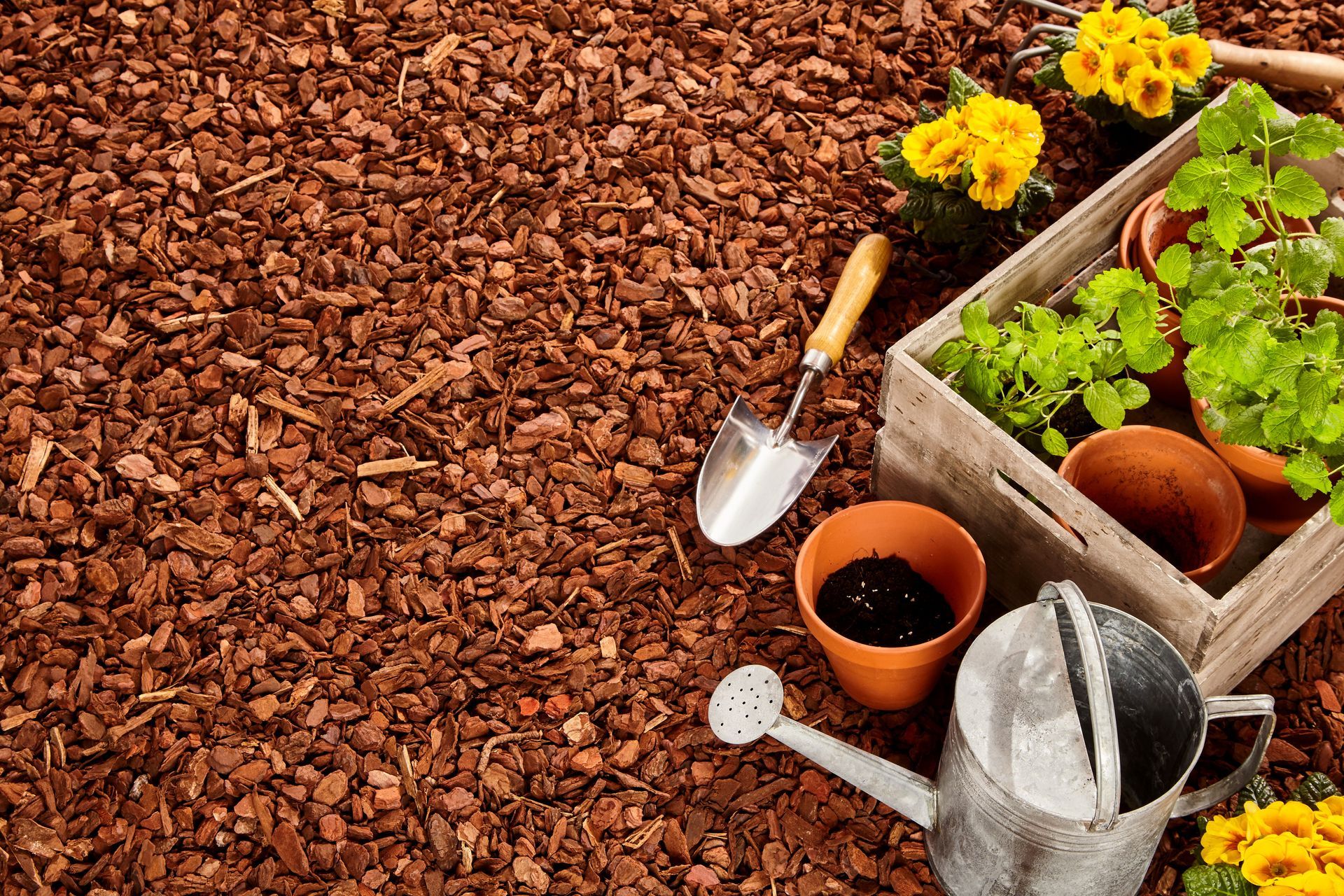 mulch supplier