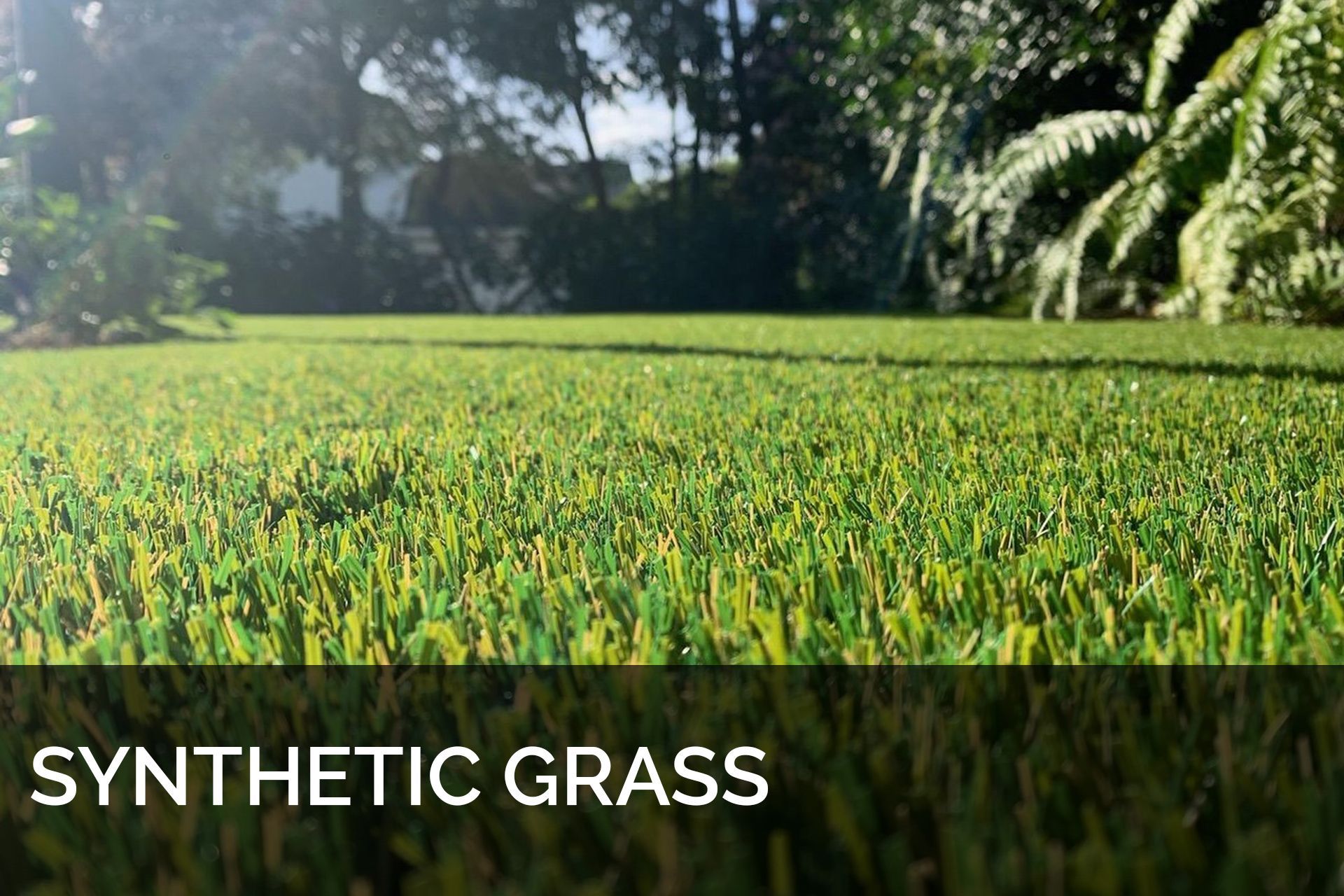 Green grass