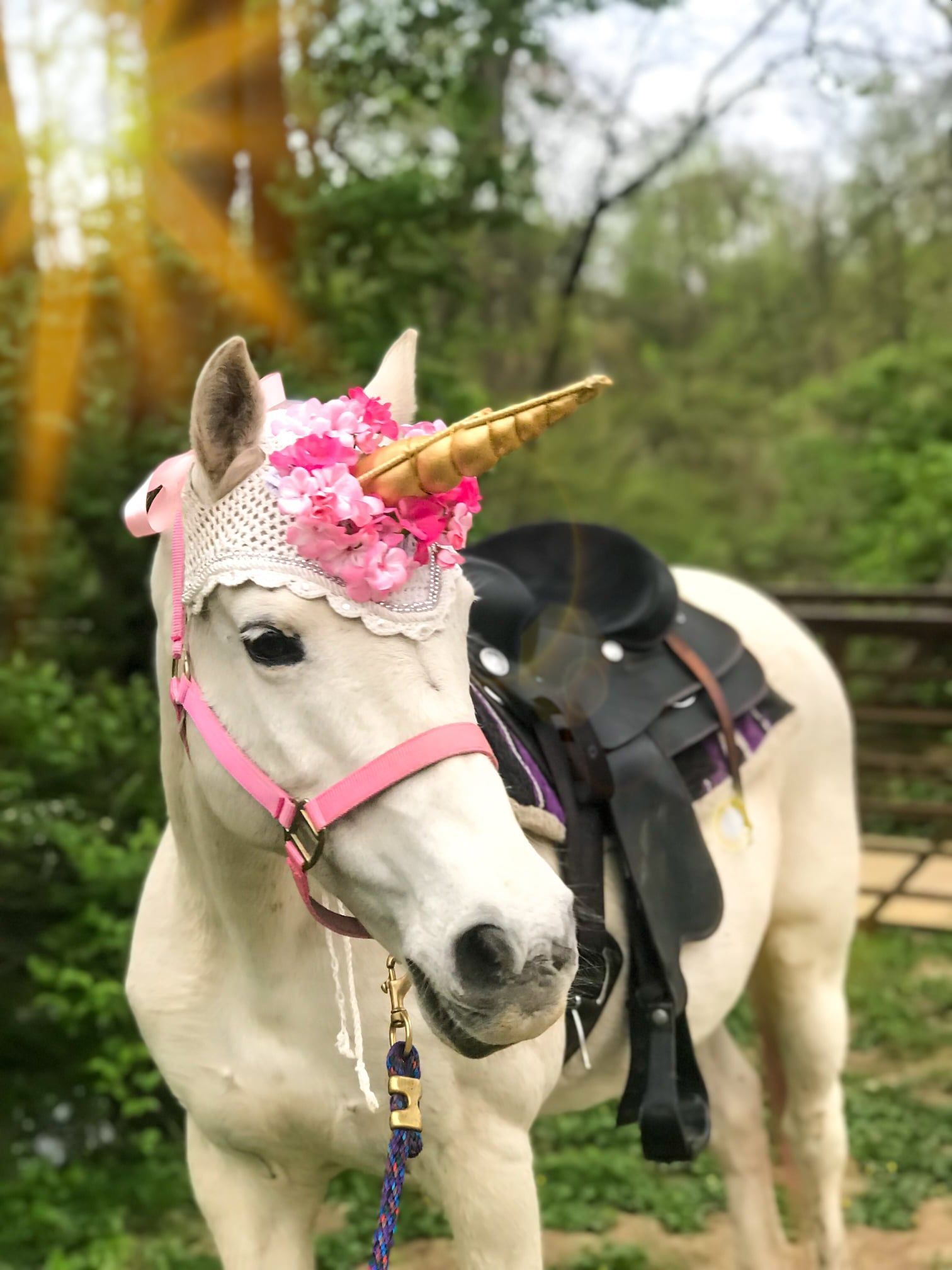 A white pony wearing a decorative floral unicorn horn headpiece and a saddle, standing outdoors in a wooded area.
